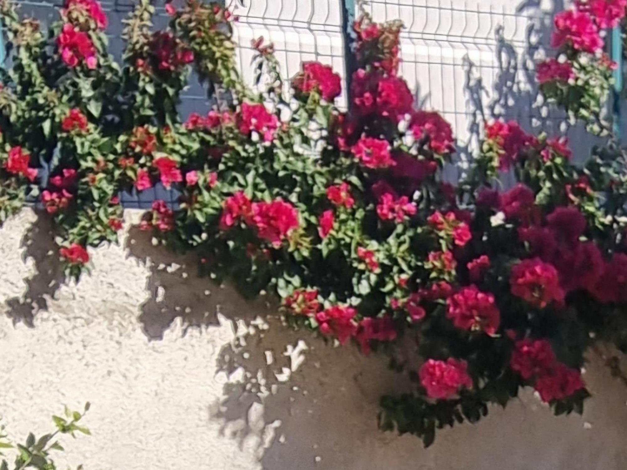 Vila Megi-Rent Room Vlore Exterior photo